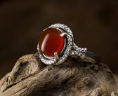 تبرکی گرد پای شما!!!