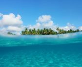 شیر قهوه خوب و چای سبز عالی بهر مریض مریض!!!